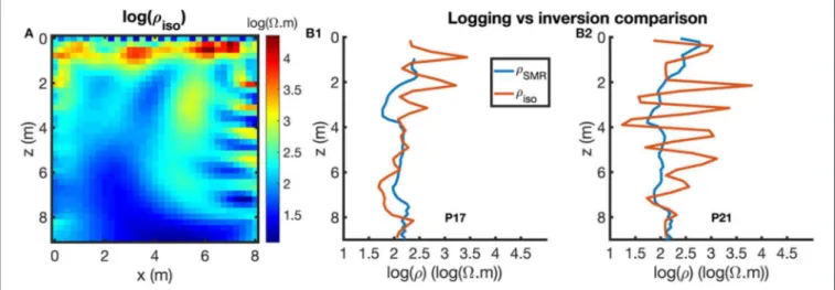 FIGURE 7 | Real case study isotropic inversion results displaying logarithmic inverted resistivities