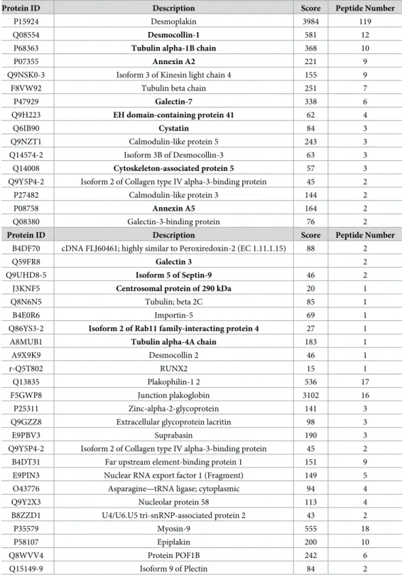 Table 1. Mass spectroscopy results of proteins interacting exclusively with wtPOC5. Scaffold software was used for