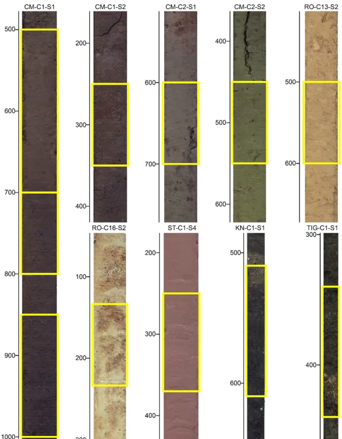 Figure 1. Test sections in cores from the flooding study and the contamination study. The  scale for each core gives the depth in mm below the top of the individual section (including  the casing), rather than the total depth below the ground surface