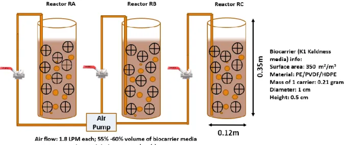 Figure 1: Set-up for the Fluidized bed biofilm reactor and biocarrier details 