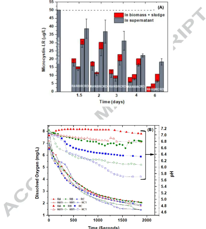 Figure 5: A) Microcystin-LR (MC-LR) degradation study for all the three bioreactors; 