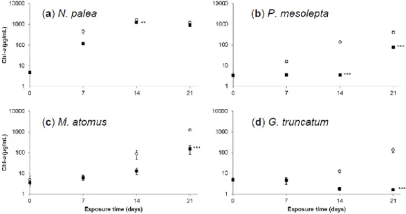 Figure 4. Mean Chl-a concentration in (a) N. palea, (b) P. mesolepta, (c) M. atomus, and (d) G
