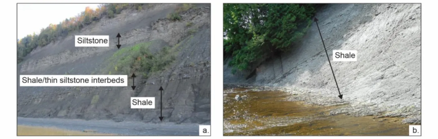 Fig. 2 Examples of outcropping IZ units of the Saint-Édouard area: a. Lorraine Group (Nicolet 