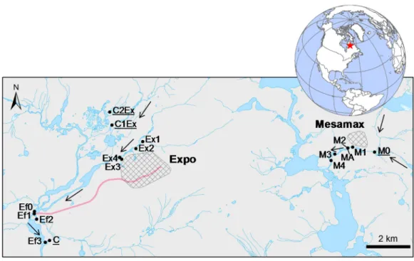 Figure 1. Sampling stations around the Expo and Mesamax mining sites (shaded areas). The treated  wastewater effluents from the Expo site are discharged a few km downstream (pink line representing  treated sewage pipe)