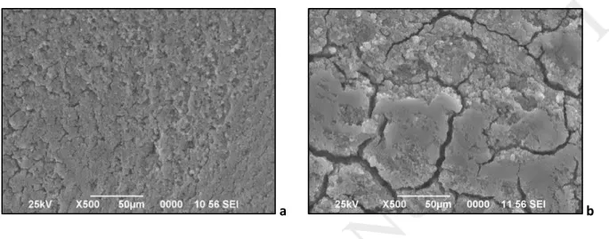 Figure 5: SEM characterization of SiC foams coated by TiO 2 -P25 with TTIP (5a) and whitout TTIP (5b) 