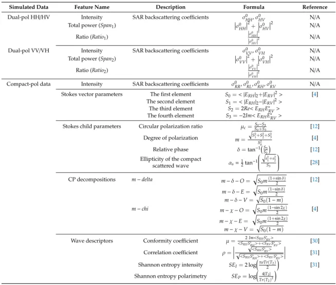 Table 2. A description of simulated SAR features employed in this study.