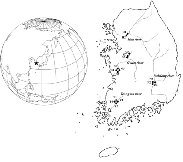 Fig. 1. Site distribution along four major rivers of South Korea. 