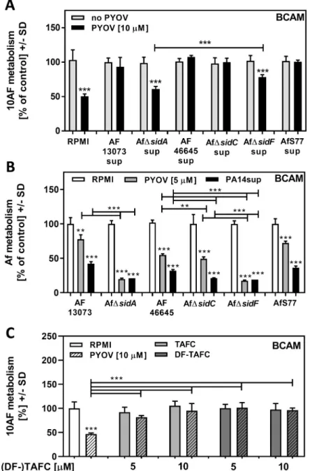 Fig 4. AfΔsidA is more sensitive towards PA14 or pure pyoverdine than its wildtype. A: Mixtures (25%) of freshly prepared AF13073, AfΔsidA, AF46645, AfΔsidC, AfΔsidF, or AfS77 supernatants were combined with pyoverdine [10 μM], and tested for effects on 10