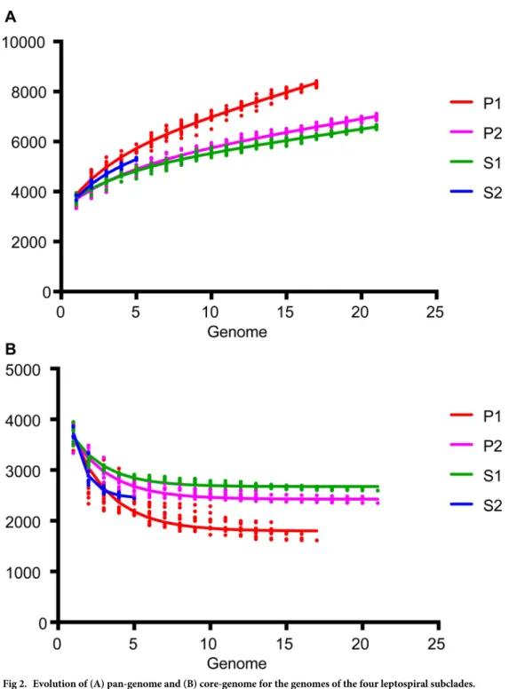 Fig 2. Evolution of (A) pan-genome and (B) core-genome for the genomes of the four leptospiral subclades