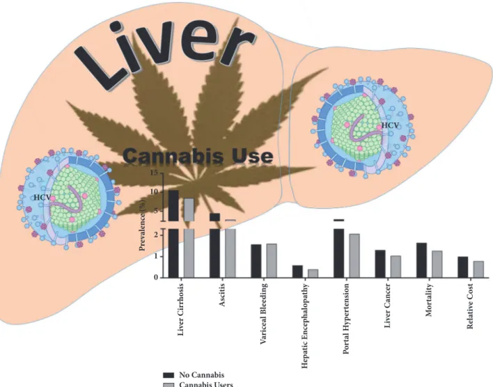 Figure 2: Summary schematic of the effects of cannabis use by HCV infected individuals and liver disease associated parameters
