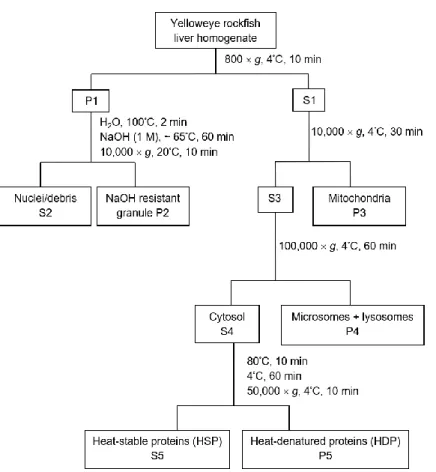 Figure S1. Flow chart describing the partitioning procedure used to separate yelloweye rockfish livers into subcellular fractions.