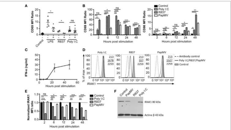 FigUre 3 | Interleukin-1 receptor-associated kinase 1 (IRAK1) is degraded by PapMV in bone marrow-derived plasmacytoid dendritic cells