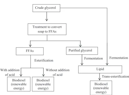 Fig. 1. The flow diagram of the study.