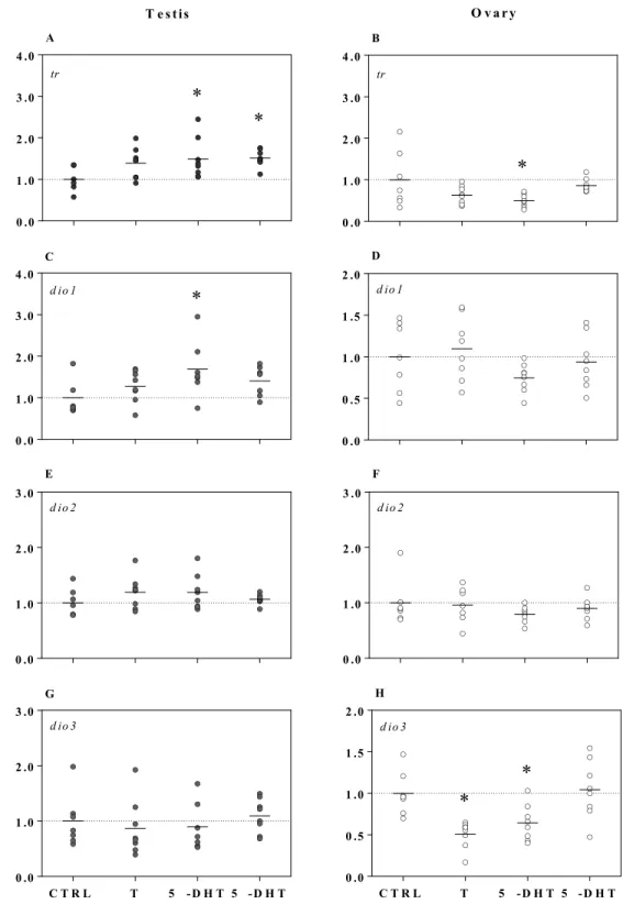 Figure 2. Expression of trs (trβ) and dios (dio1, dio2, and dio3) in testes (A, C, E, and G, respectively)  and ovaries (B, D, F, and H, respectively) exposed ex vivo to testosterone (T; 1 µM), 