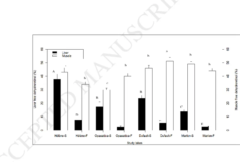Fig. 3. Percentage of free dehydroretinol in liver and muscle of juvenile yellow perch caught in four lakes in Rouyn-Noranda region in  the spring  (S) and in  the fall (F) 2012