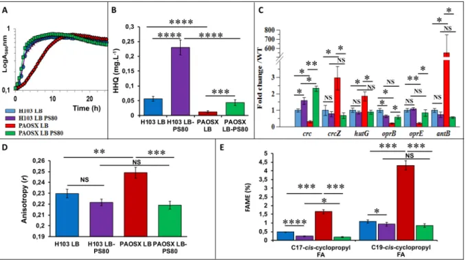 Figure 4.  Polysorbate 80 (PS80) restores PAOSX growth, HHQ production, expression of Crc-Hfq target 