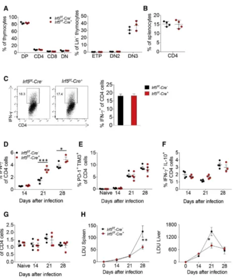 Figure 2. Cell-Specific IRF-5 Ablation in T Cells Results in Higher Frequencies of  IFN-g-Producing CD4 T Cells during VL