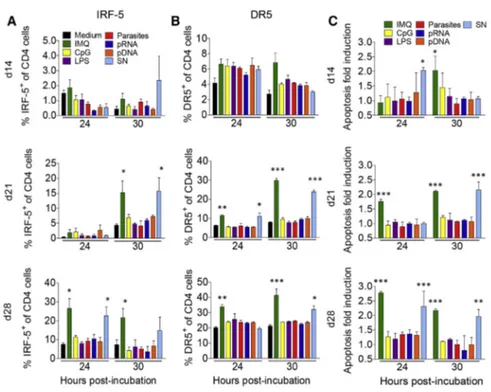 Figure 6. TLR7-Mediated IRF-5 Activation and CD4 Cell Death Are Not a Consequence of Microbial Sensing