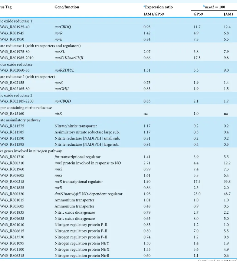 Table 4 Transcript levels of genes involved in the nitrogen pathway in Methylophaga nitratireducenticrescens JAM1 and GP59.