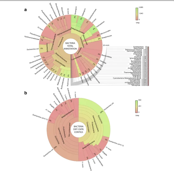 Fig. 6 Bacterial contigs, total and differentially expressed (DE) transcript origin. Krona graphs [ 47 ] represent a total annotation of bacterial transcripts (including non-DE) and b annotation of DE bacterial transcripts