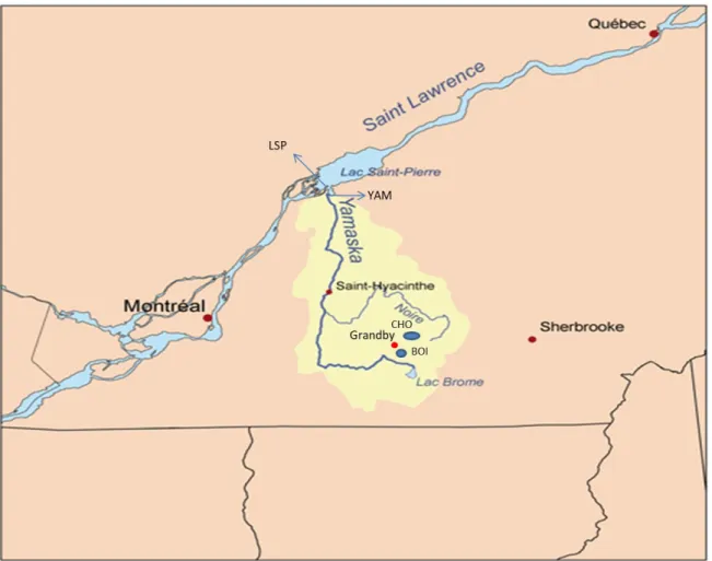 Fig. 1 Site location. The Lake Saint-Pierre (LSP) site is part of the St. Lawrence River and is located downstream  from  the  other  sites