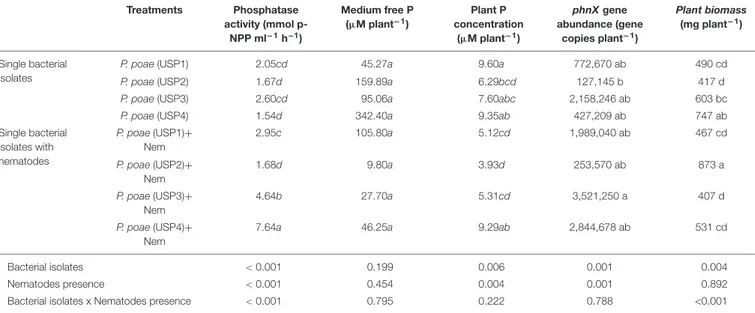 TABLE 3 | Comparison of the effects of nematode grazing and bacterial isolates on phosphatase, medium free P, plant P concentration, phnX gene abundance, and plant biomass for wheat seedlings grown for 60 days.