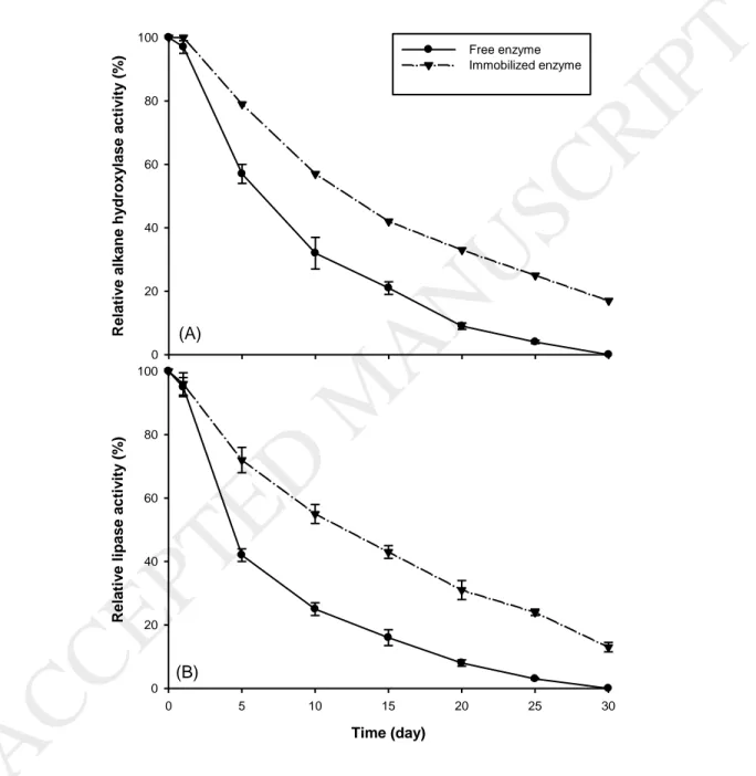 Fig. 5. In vitro half-life of the free and immobilized alkane hydroxylase (A) and;  lipase (B)