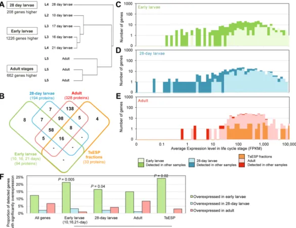 Figure 2.  Trichuris suis transcriptomic and proteomic analyses. (A) Clustering of RNA-Seq samples according  to global gene expression patterns (Spearman clustering, average linkage)