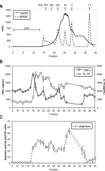 Figure 6.  Fractionation of adult TsESP and identification of immunomodulatory protein candidates