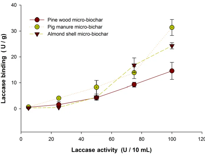 Fig. 3: Laccase loading on non-functionalized biochars at different laccase activities 
