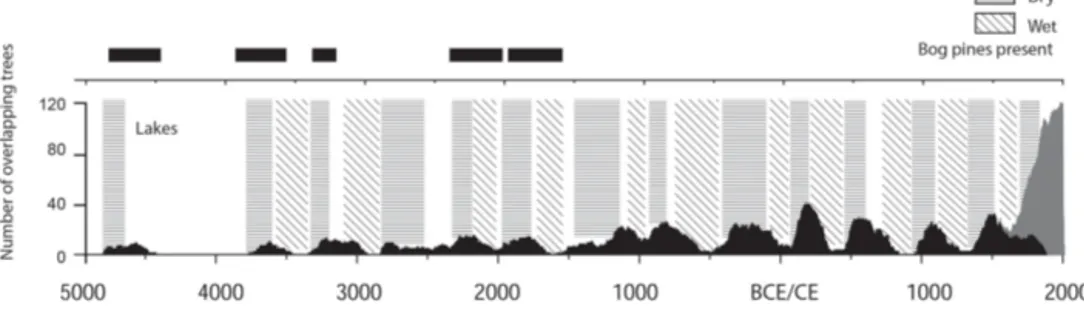 Figure 4. Changes in subfossil Scots pine (Pinus sylvestris L.) sample numbers over time (black) from lakes in the central Scandinavian Mountains (Gunnarson, 2008)