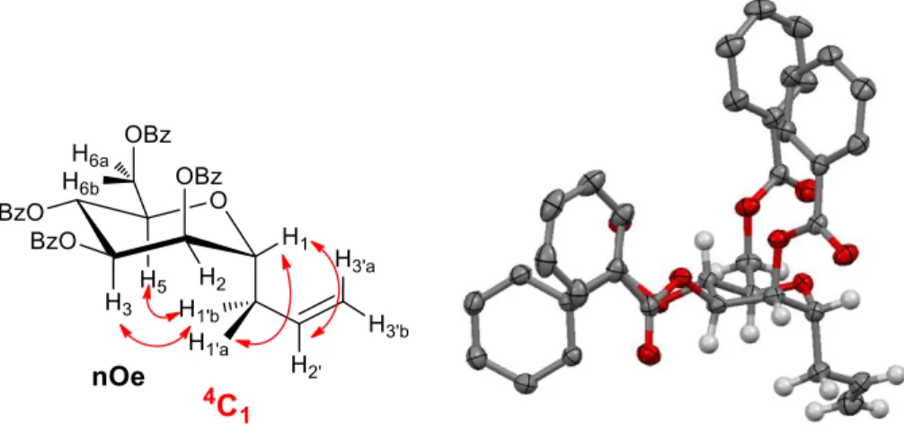 Figure 3. Left panel: conformational studies of C-allyl 2,3,4,6-tetra-O-benzoyl-α-D-mannopyranoside (5α) in  solution by nOe  1 H NMR; right panel: ORTEP diagram for the X-ray structure of 5α