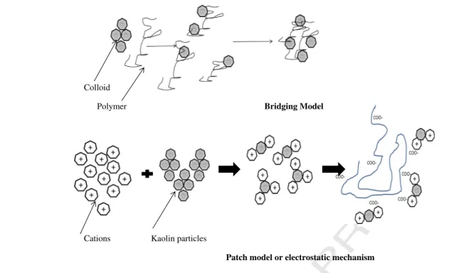 Fig. 4 – Flocculation mechanism of bioflocculant.