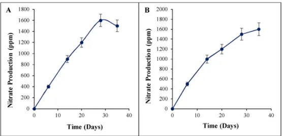 Fig. 2. Variation of nitrate concentration in media 756 inoculated with: (A) compost; and (B) Nitrobacter sp.