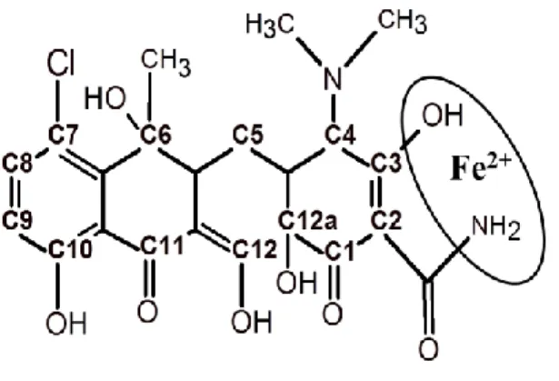Figure 1. Chlortetracycline structure showing the iron binding site.  544  545  546  547  548  549  550  551  552  553  554  555  556 