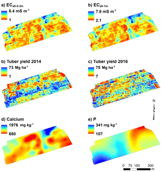 Fig. 3. Kriging maps of the apparent soil electrical conductivity (EC a ) a) EC a0-0.3m  and b) EC a0-1m ; tuber  yield c) 2014, and d) 2016; and Mehlich-3 extractable e) Ca and f) P of Field 2