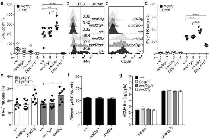Figure 4.  HtrA2 controls caspase-1-dependent cellular inflammatory responses to MCMV