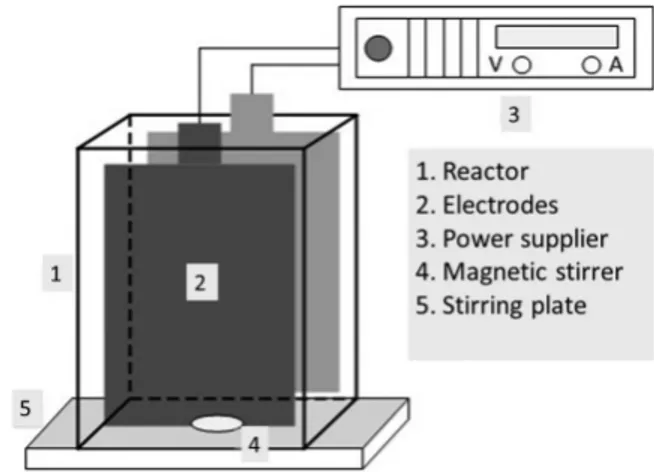 Fig. 1. Diagram of the electrooxidation experimental system.