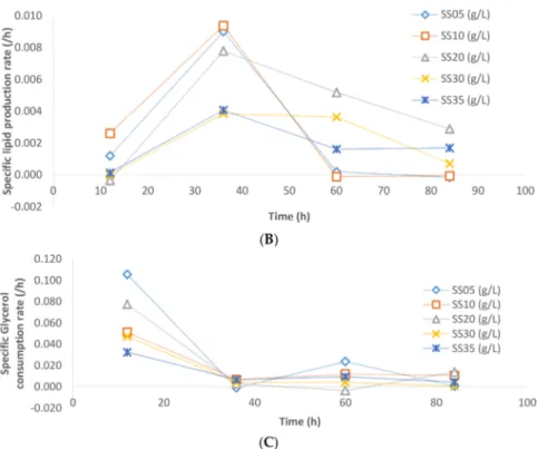 Figure 7. (A) Specific growth rate, (B) specific lipid production rate, and (C) specific glycerol consumption rate comparison between fermentations performed with different concentrations of sludge solids.