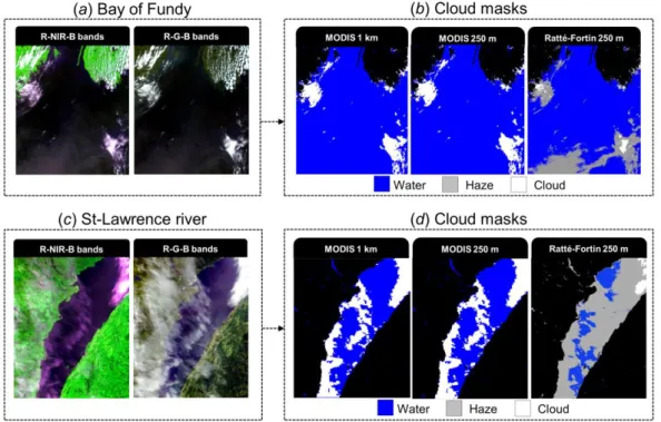 Figure 7 : MODIS R-NIR-B color and R-G-B color of the Bay of Fundy (a) and the St-St-346 