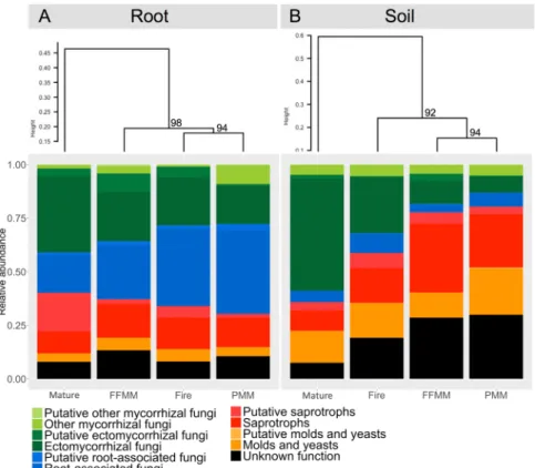 Figure 5.  Ecological functions predicted for the fungal communities recorded in (A) root and (B) soil samples 