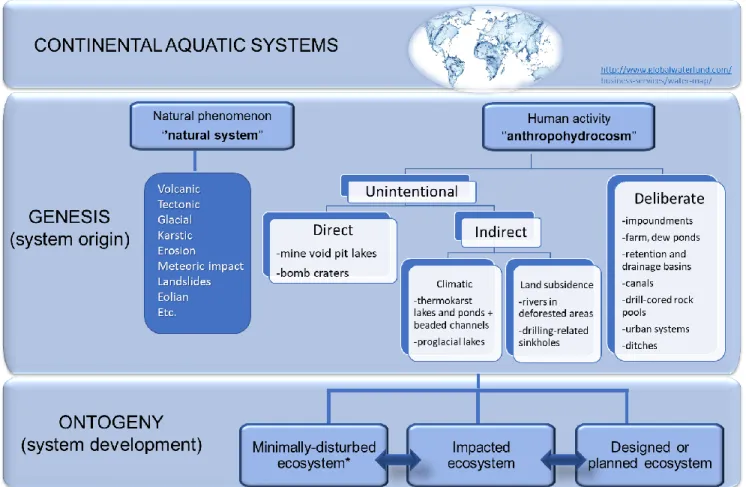 Figure 2.  Classification of continental aquatic systems according to their origin and  ecosystem development