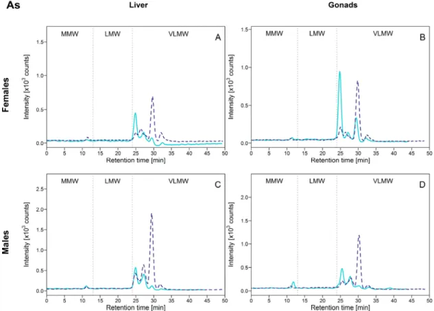 Figure 4. Size-exclusion chromatograms of As-binding biomolecules in hepatic and gonadal HSP  fractions of white suckers from a reference (full line) and metal-impacted lake (dotted line)