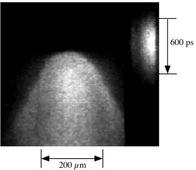 Fig.  3.17:  Image  de  l'émissivité  de  la  face  arrière  d'une  cible  d'aluminium  de  18  µm 