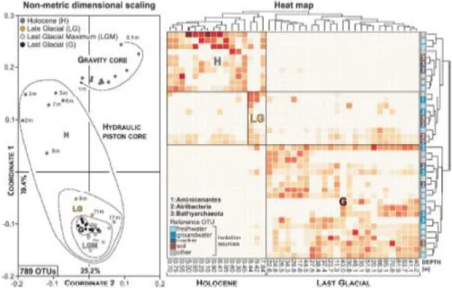 Figure 4    Non-metric multidimensional scaling plot and heat map. Left: The NMDS plot shows that sample 
