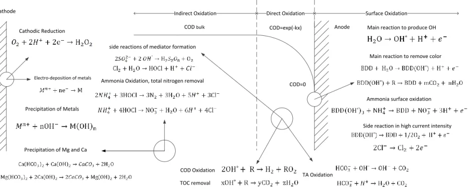 Figure 3.  Removal mechanism of all macro-pollutants by electro-oxidation process.