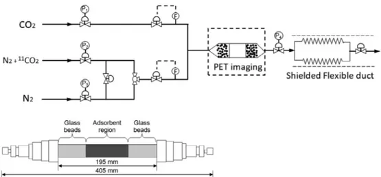 Fig. 1. Experimental set-up and detail of the adsorption column with adsorbent bed and glass beads packing (Pi: pressure control valves, F: mass ﬂow rate mea- mea-surements).
