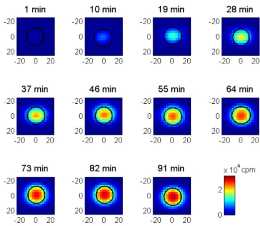 Fig. 3. Illustration of cross-sectional concentration pro ﬁles in a plane, in the middle of the adsorbent bed for Zeolite 13X at 1.6 MPa and Cmax = 10% at nine minute intervals
