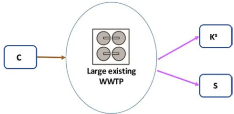 Fig. 12. Representation of the mass balance of a large existing wastewater treatment plant