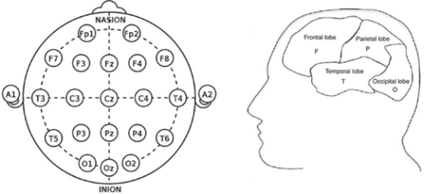 Fig. 11.1. Standard 10-20 system montage. Location and nomenclature of the electrodes: 